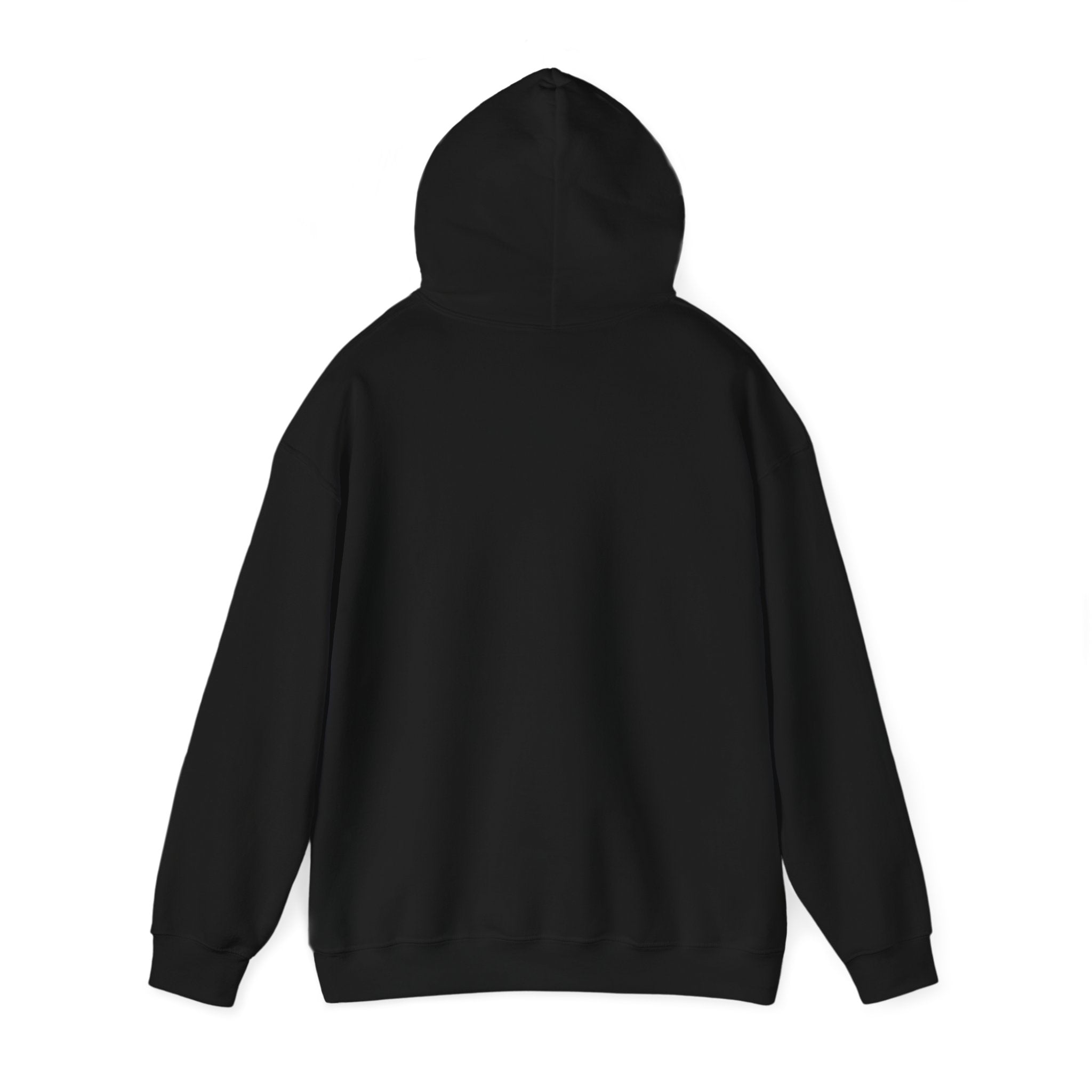 Nola Hoods Hoodie Printify