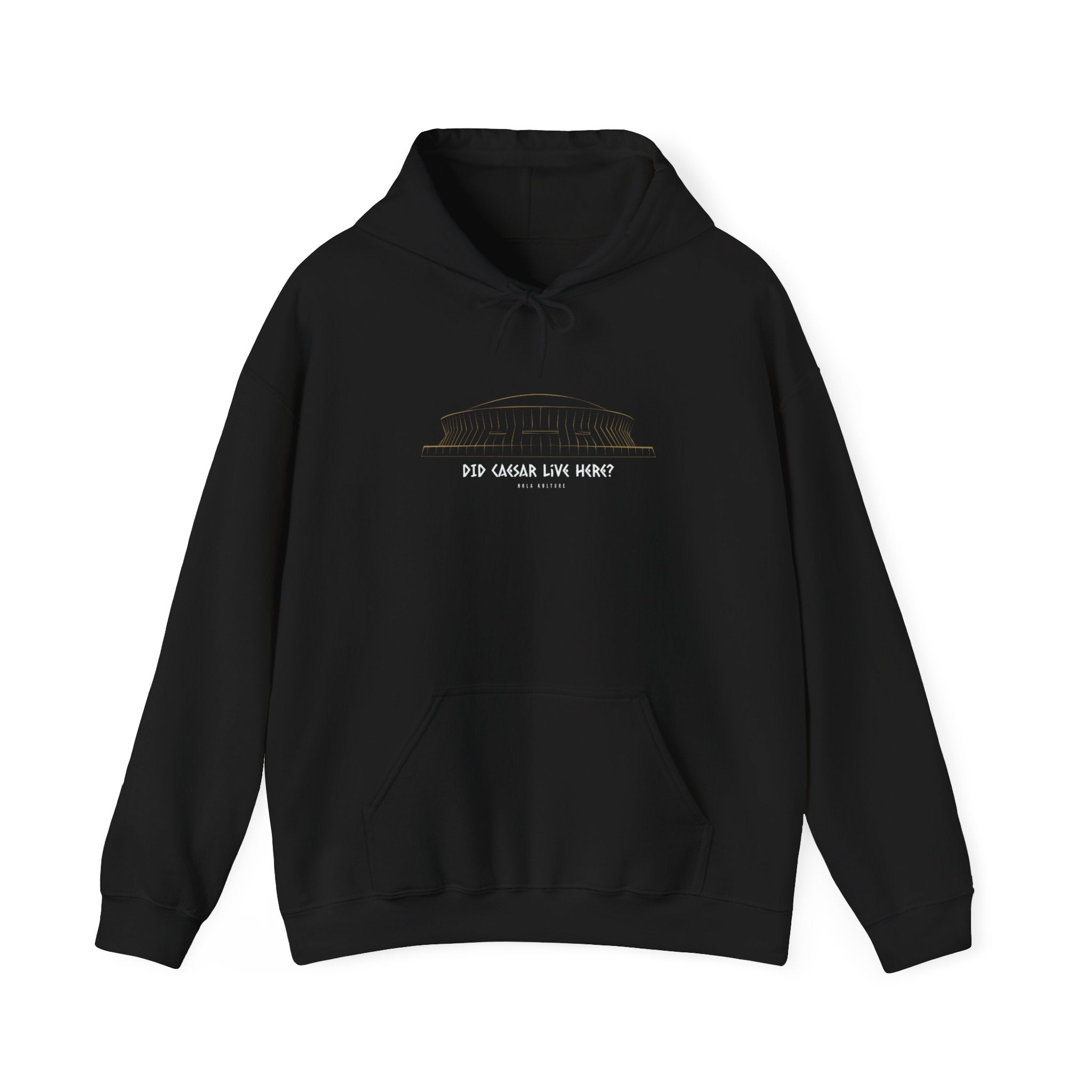 “Did Caesar Live Here?” Hangover Hoodie Printify