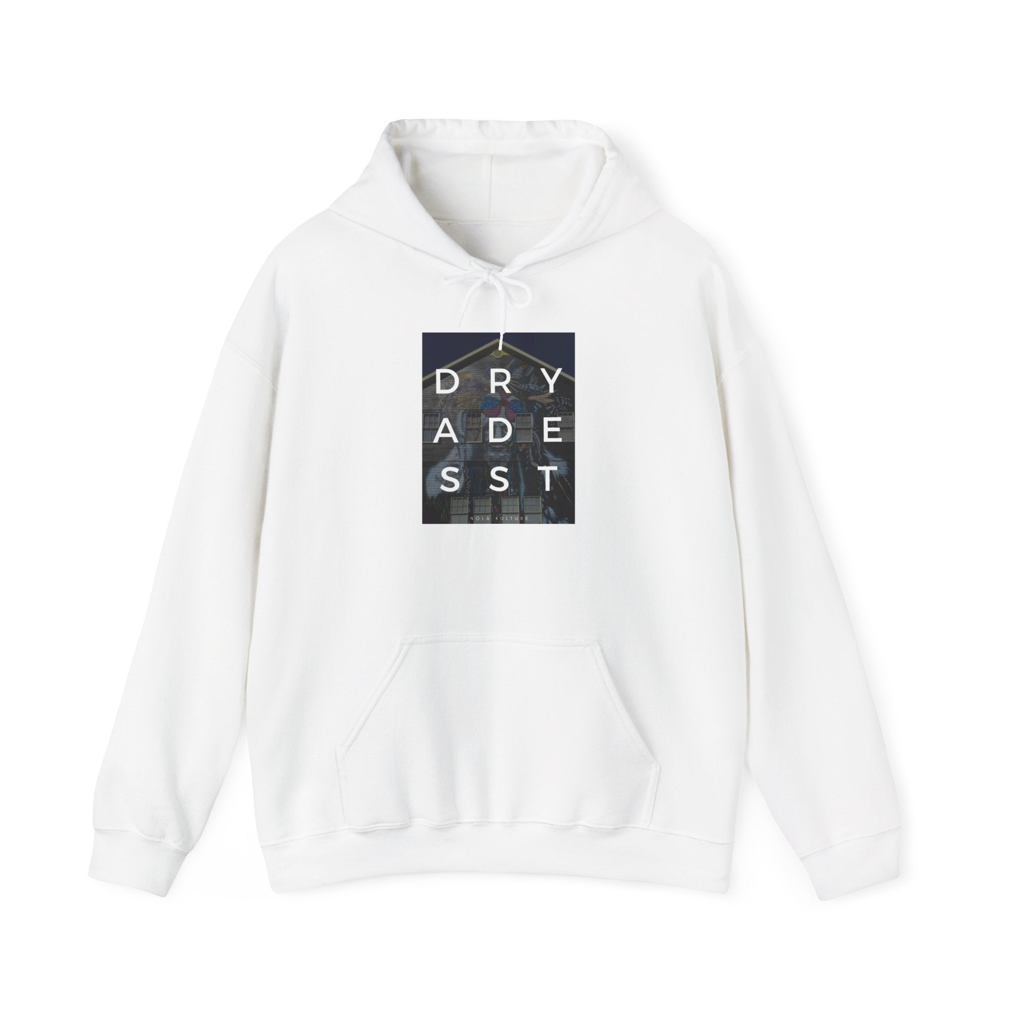 Dryades Street Hoodie Printify