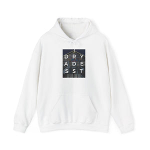 Dryades Street Hoodie Printify