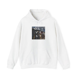 Olive Street Hoodie Printify