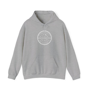 New Orleans Watermeter Hoodie Printify