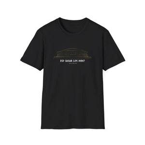 “Did Caesar Live Here?” Hangover T-Shirt Printify