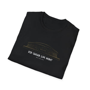 “Did Caesar Live Here?” Hangover T-Shirt Printify