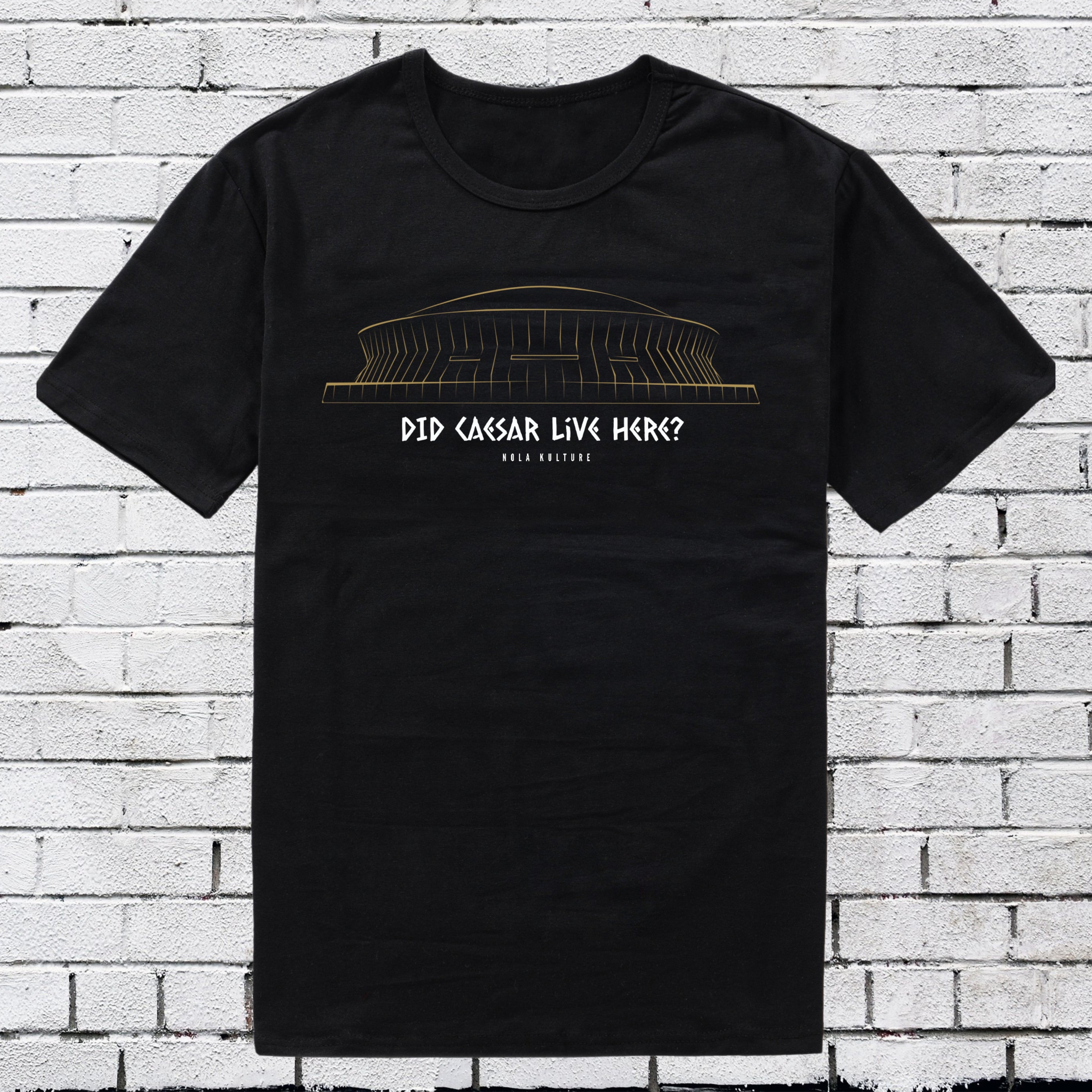 “Did Caesar Live Here?” Hangover T-Shirt Printify